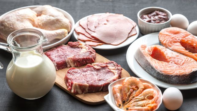 top 5 nutrition B12 rich foods