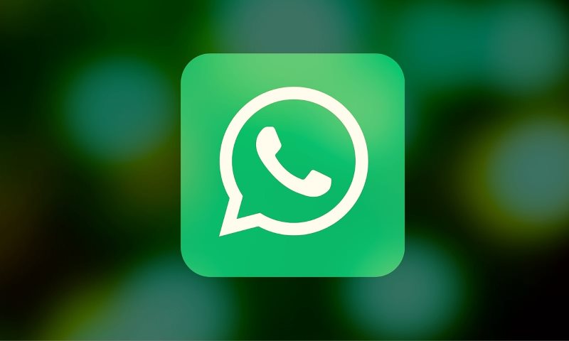 10 Crazy WhatsApp Facts You Probably Didn’t Know