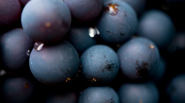 7 Amazing Benefits of Grapes for Health and Skin