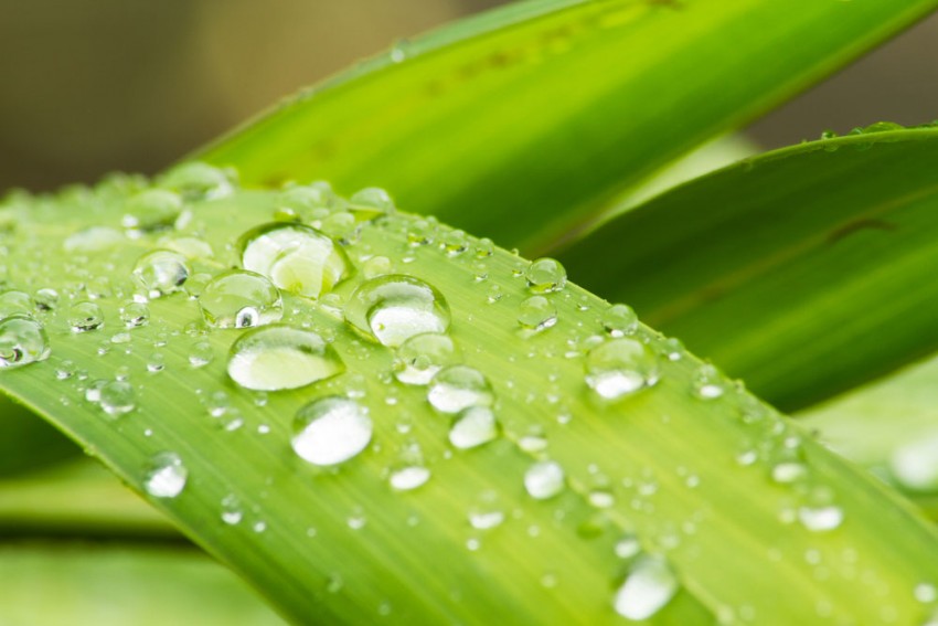 Customer Service Flub Hurts Wal-Mart