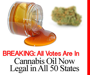 How Hair Loss Happens