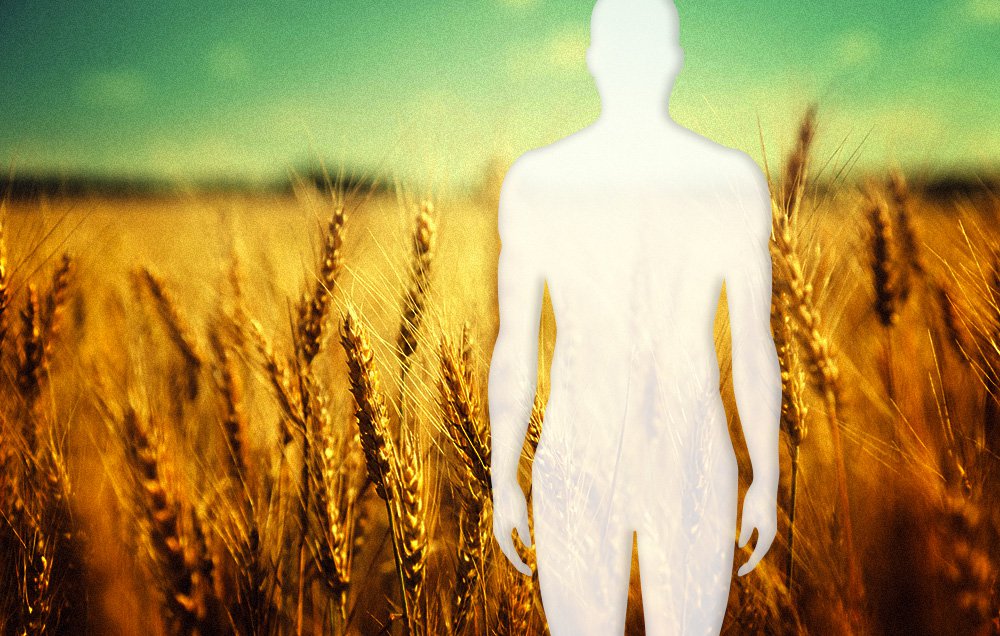 The Truth About the Gluten-Free DietDoes
