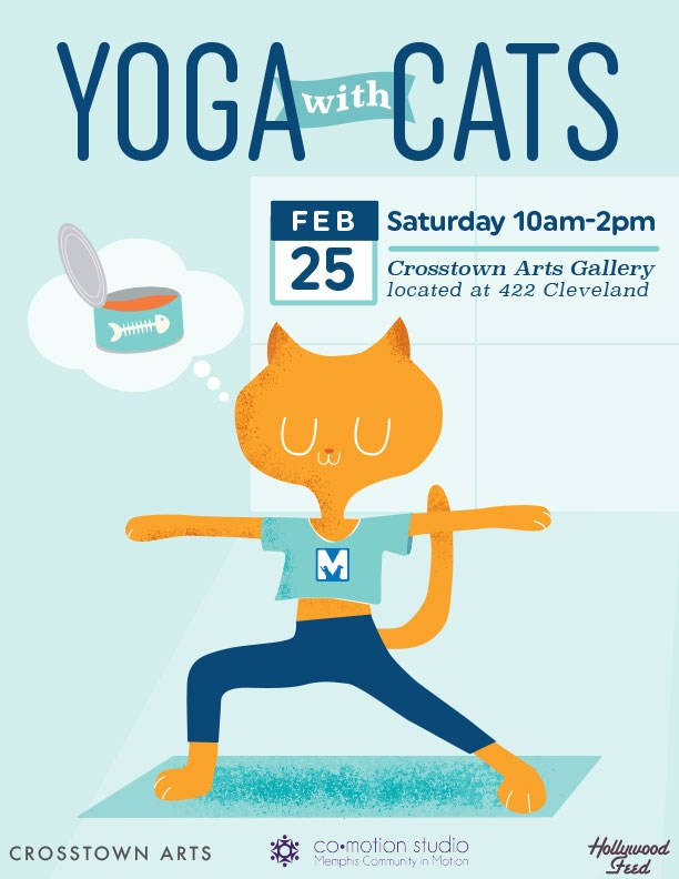 Cat yoga is real and it’s happening in Memphis