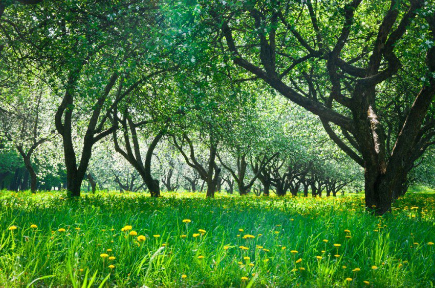 Are Criminals and Entrepreneurs Similar?