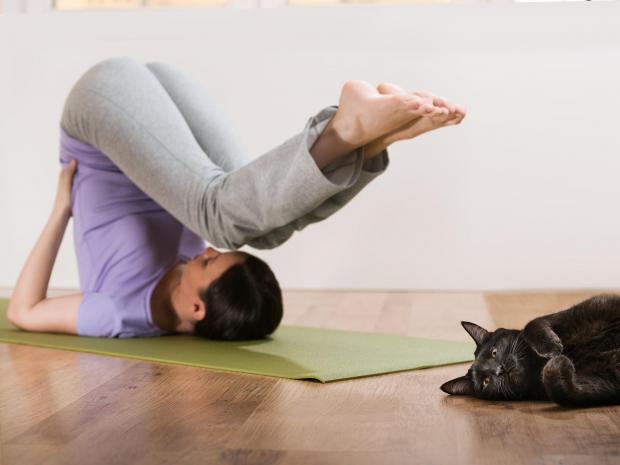 The truth about whether fads like goat and beer yoga are as daft as they sound