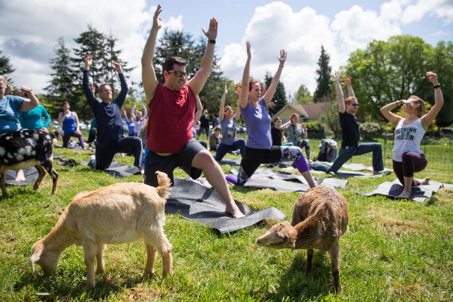 Meryl ties the knot at age 67 – Something made it possible