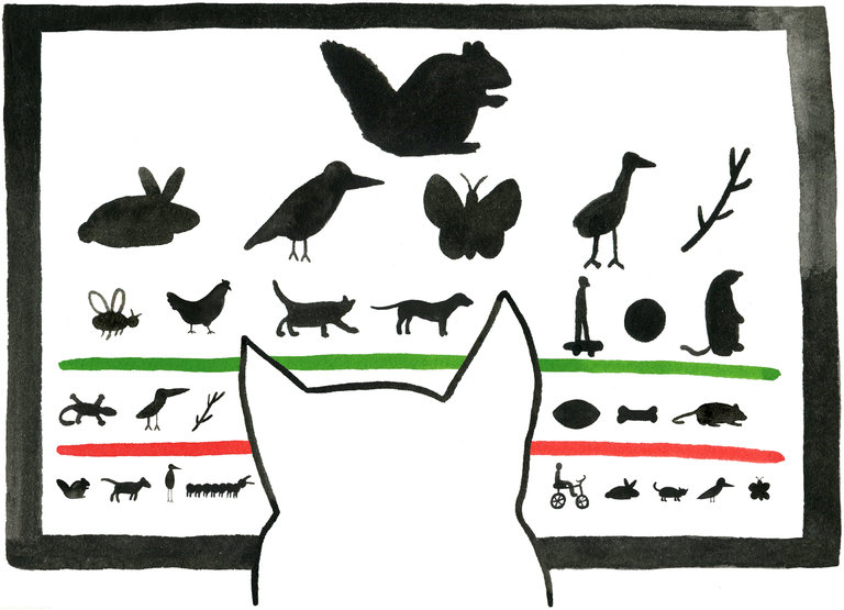 Does Your Pet Need an Eye Doctor?