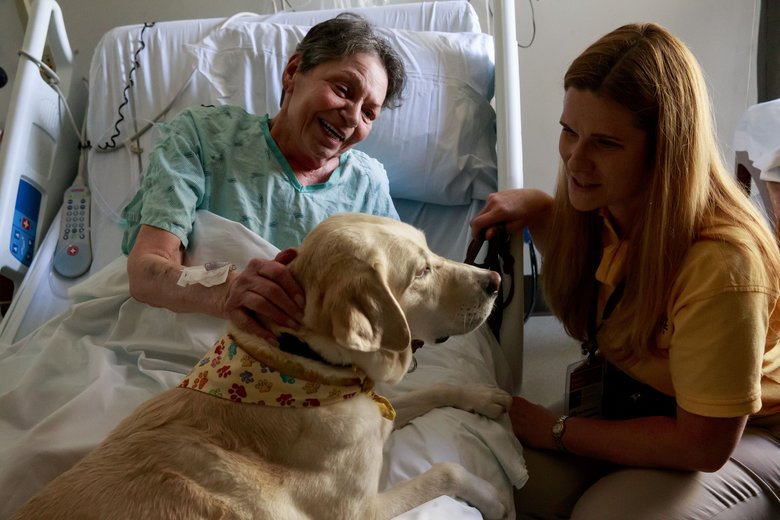 Therapy dogs: With soft eyes and furry ears, these volunteers at Overlake and other area hospitals reassure patients, families
