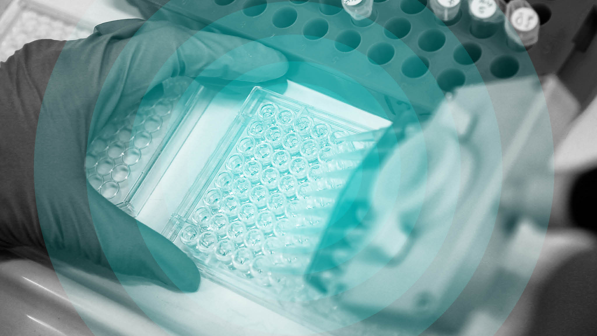 Fears over a medical gold rush in cancer drug race