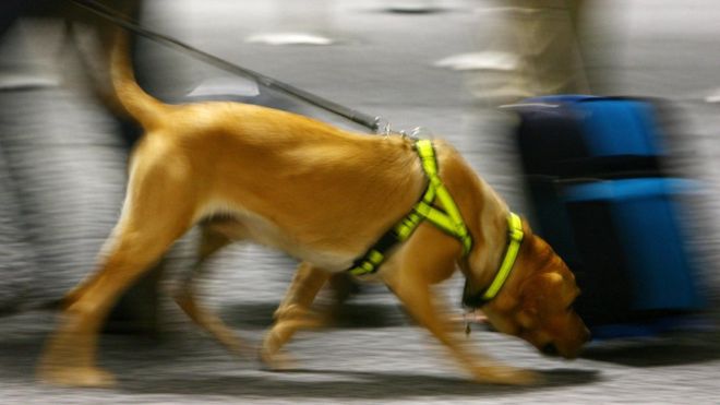 Missing Florida woman found after she bottled her scent