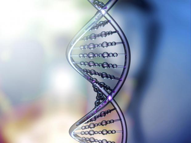 Every cancer patient could have DNA tested under five-year government plan to cut deaths