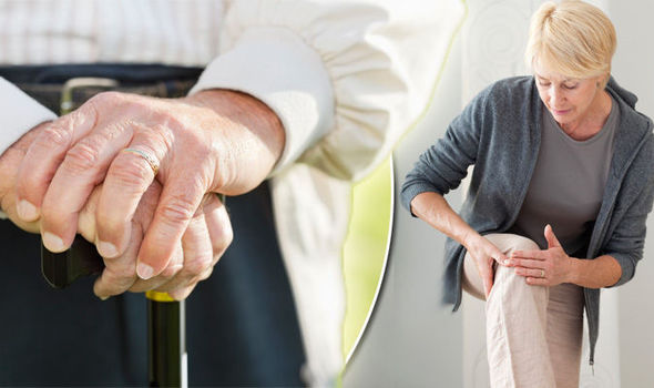 How to prevent ageing: THIS could be the key to staying young and preventing illness