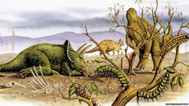 Plant-eating dinosaurs ‘strayed from veggie diet’