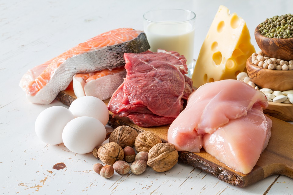 High-protein diet ‘may aid appetite control’