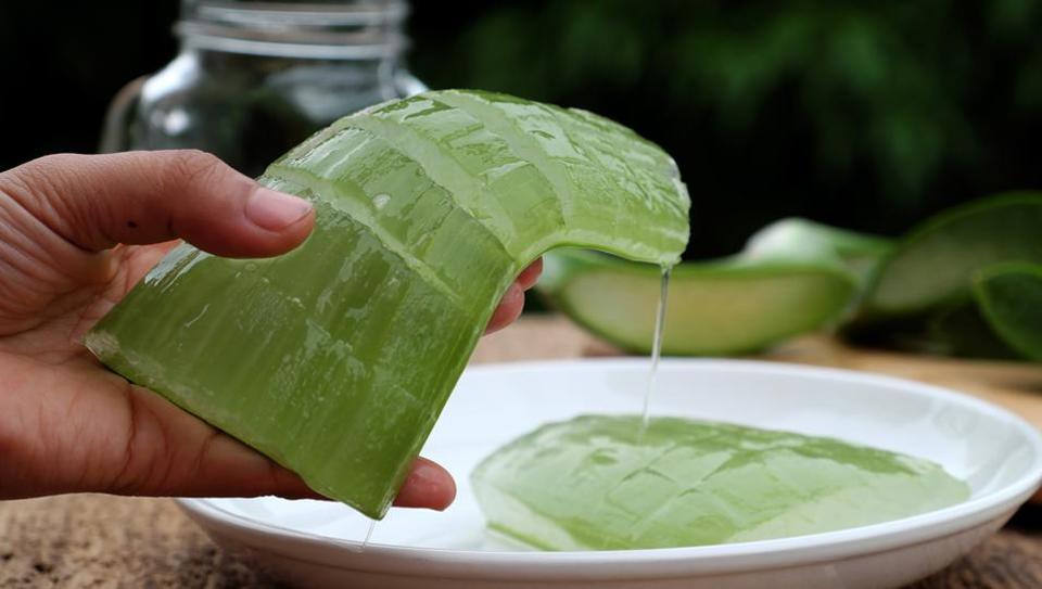 Summer skin care: Try these 5 Ayurvedic remedies to protect your skin from the sun