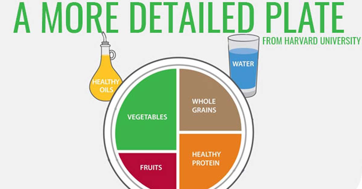 Healthy Eating Plate