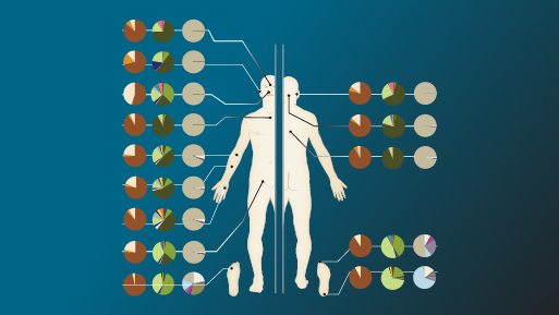 The human skin microbiome