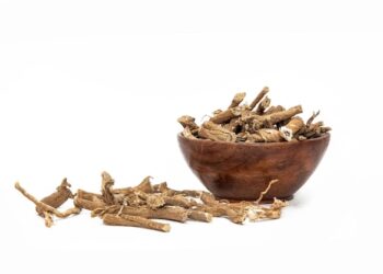 Examining Ashwagandha Root Extract Powder’s Advantages