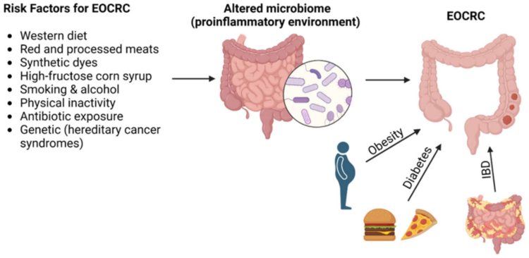 Research Features: Looking Profound into Hereditary Changes that Increment Colorectal Disease Hazard to Forestall or Distinguish Acquired Malignant growths