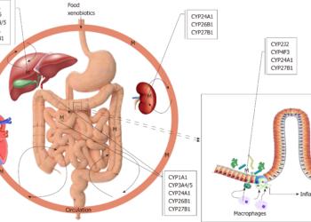What’s the significance of cytochrome P450 digestion?