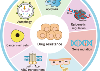 Epigenetic Drugs: Their Mechanisms, Challenges, and Potential Applications
