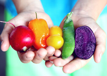 The Science Behind Antioxidants and Colorful Foods