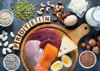 The Power of Protein